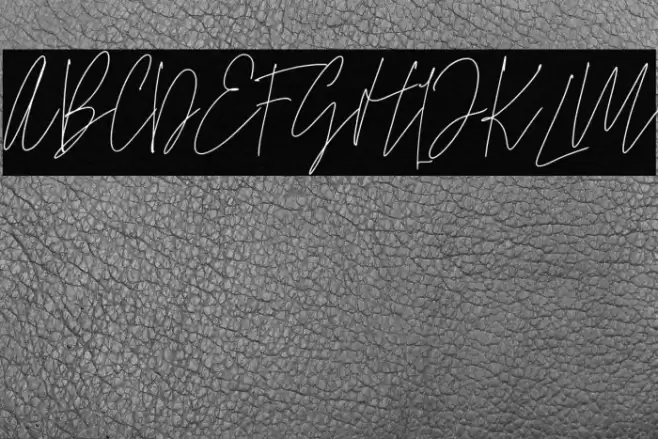 SamuelZevanni Шрифта examples