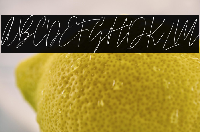 SamuelZevanni Example 2