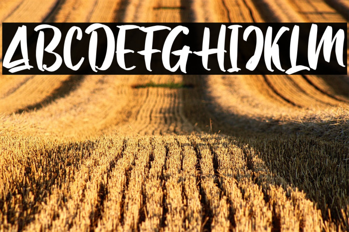 Samuell Solid_DEMO Example 2