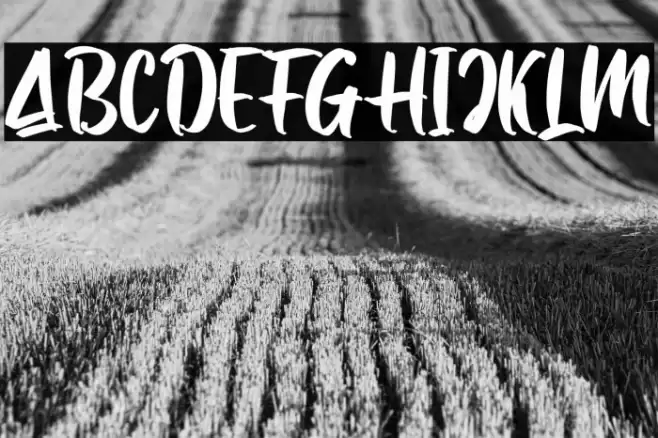 Samuell Solid_DEMO Font examples