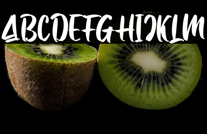 Samuell Solid_DEMO Example 3