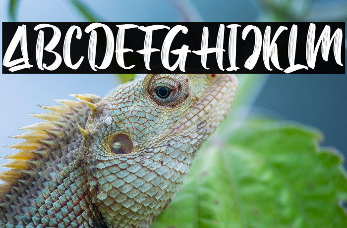 Samuell Textured - DEMO Example 1