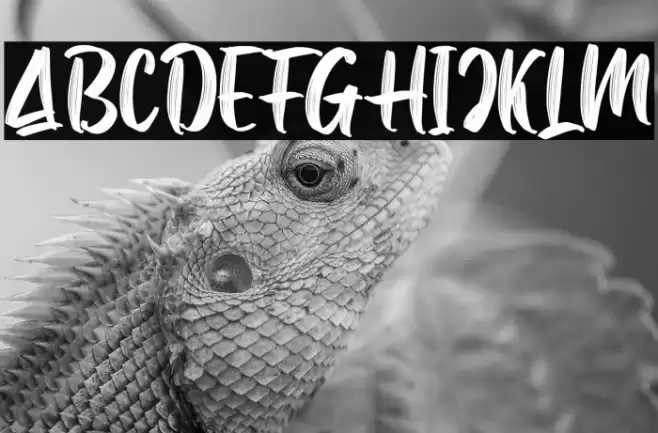 Samuell Textured - DEMO Шрифта examples