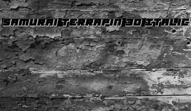 Samurai Terrapin 3D Italic Font examples