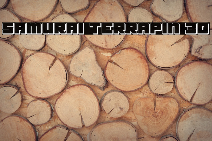 Samurai Terrapin 3D Font examples