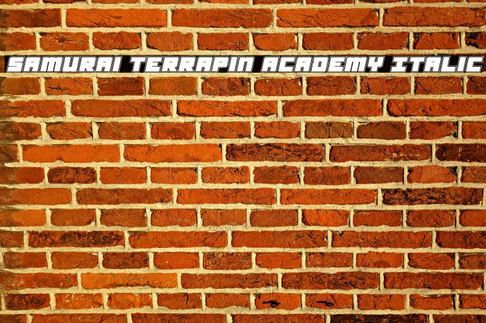 Samurai Terrapin Academy Italic Font examples