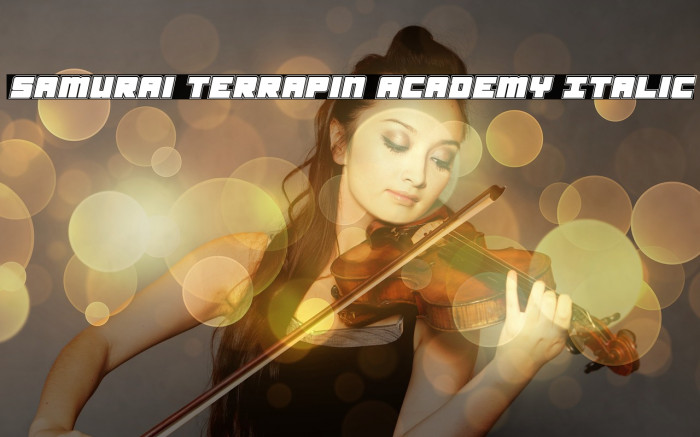 Samurai Terrapin Academy Italic Font examples