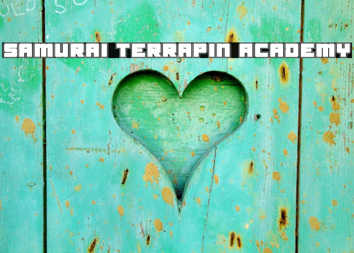 Samurai Terrapin Academy Font examples