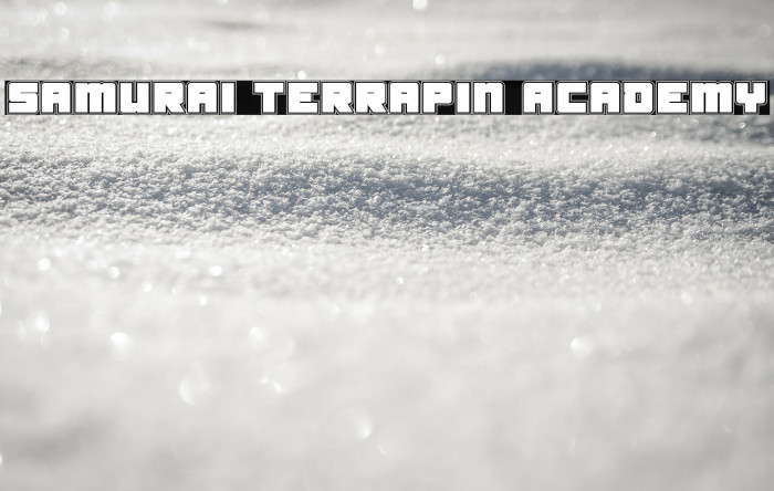 Samurai Terrapin Academy Font examples