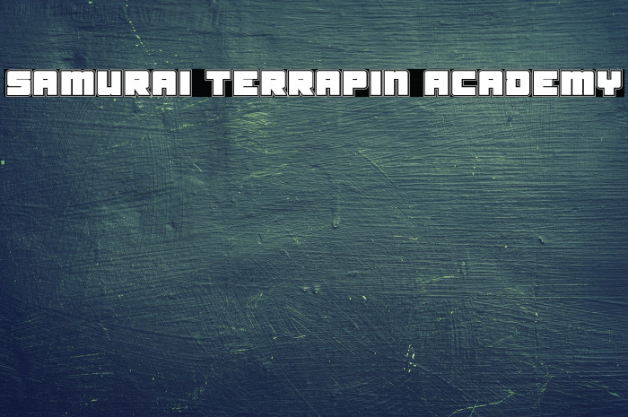 Samurai Terrapin Academy Font examples