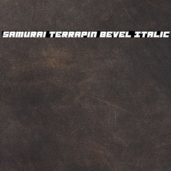 Samurai Terrapin Bevel Italic Schriftart examples