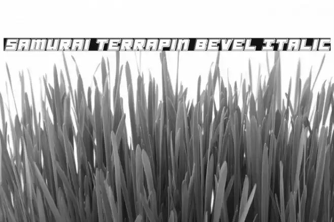 Samurai Terrapin Bevel Italic Font examples
