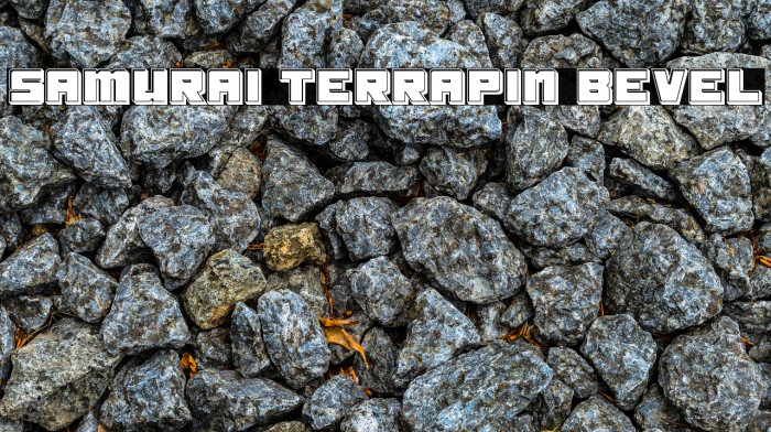 Samurai Terrapin Bevel Font examples