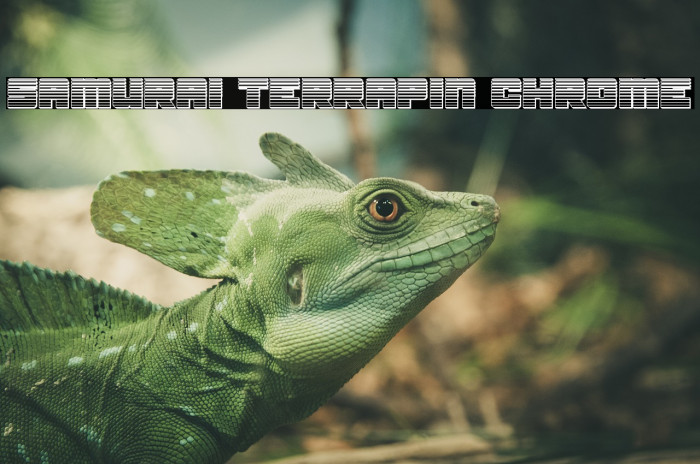 Samurai Terrapin Chrome Шрифта examples