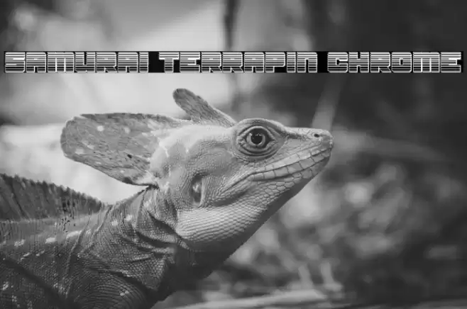 Samurai Terrapin Chrome Font examples