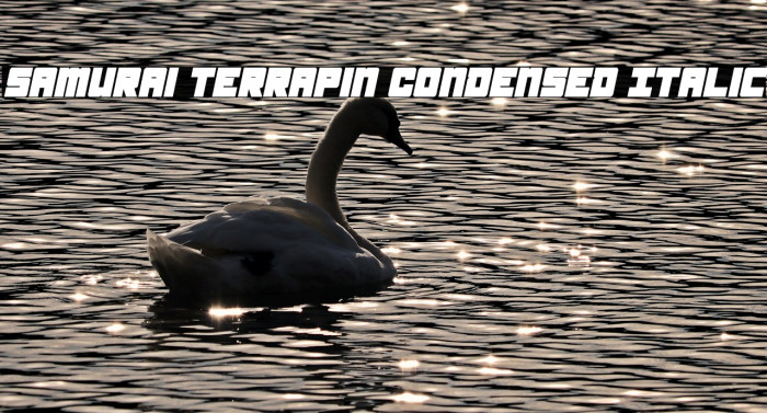 Samurai Terrapin Condensed Italic Font examples