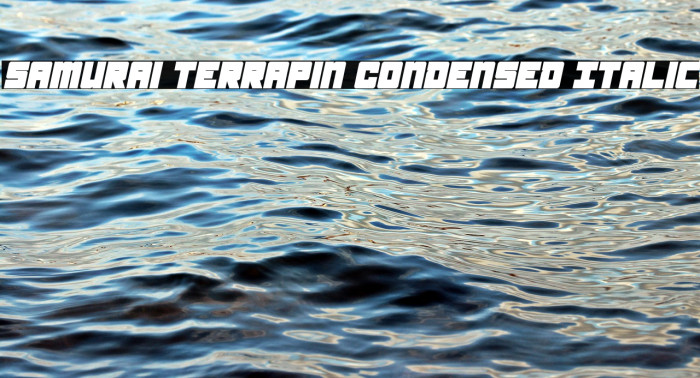 Samurai Terrapin Condensed Italic Font examples