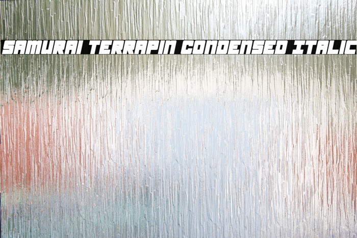 Samurai Terrapin Condensed Italic Font examples
