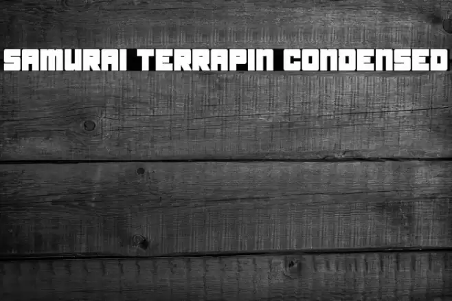 Samurai Terrapin Condensed Font examples