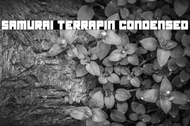 Samurai Terrapin Condensed Font examples