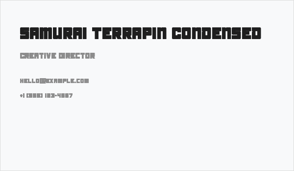 Samurai Terrapin Condensed Business Card