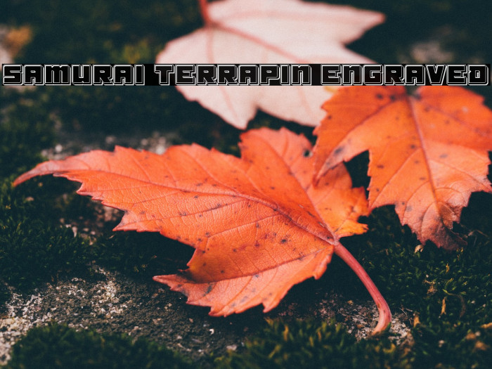 Samurai Terrapin Engraved Font examples