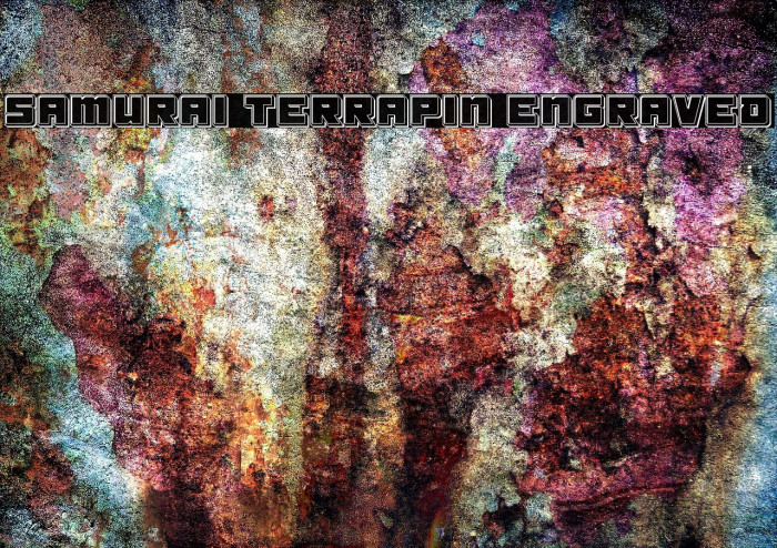 Samurai Terrapin Engraved Font examples