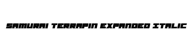 Samurai Terrapin Expanded Italic Fonte