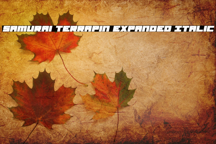 Samurai Terrapin Expanded Italic Font examples