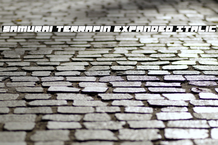 Samurai Terrapin Expanded Italic Font examples