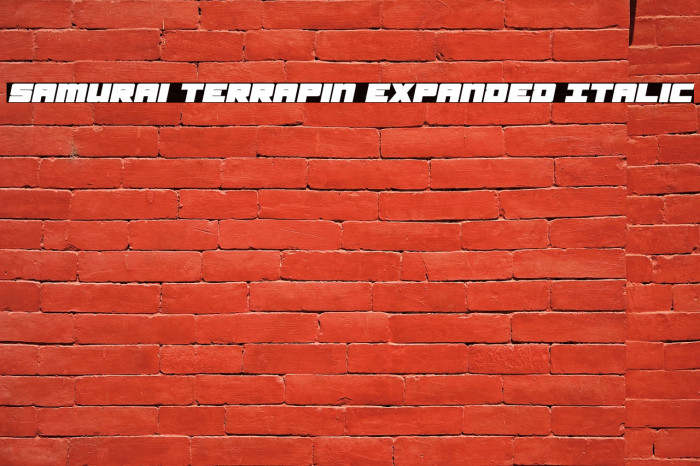 Samurai Terrapin Expanded Italic Font examples
