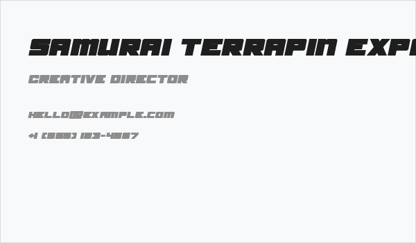 Samurai Terrapin Expanded Italic Business Card