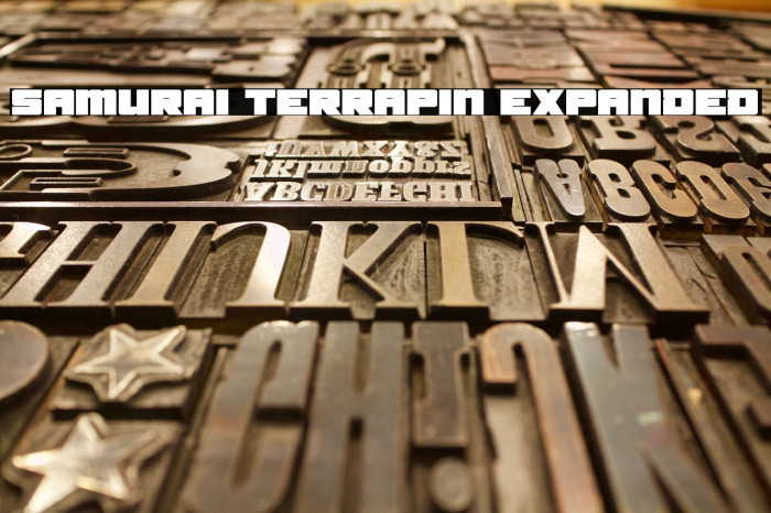 Samurai Terrapin Expanded Font examples