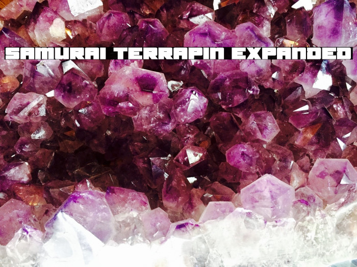 Samurai Terrapin Expanded Font examples