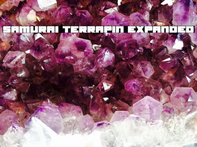 Samurai Terrapin Expanded Example 2