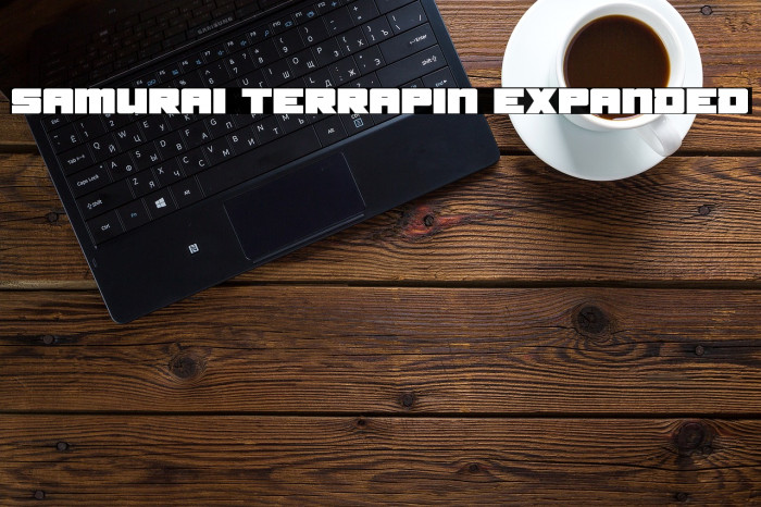 Samurai Terrapin Expanded Font examples