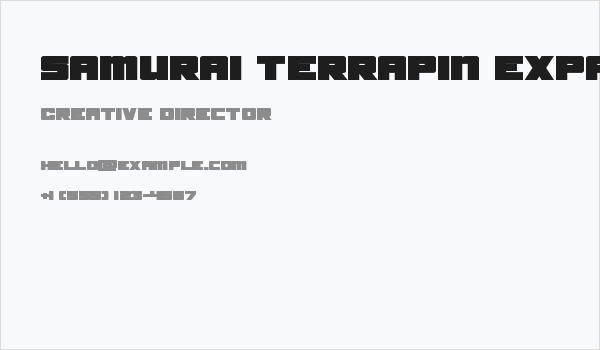 Samurai Terrapin Expanded Business Card