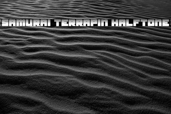 Samurai Terrapin Halftone 字体 examples