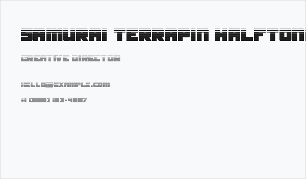 Samurai Terrapin Halftone Business Card