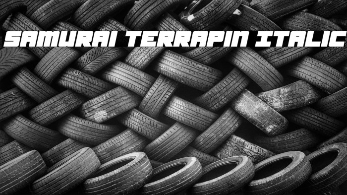 Samurai Terrapin Italic Font examples
