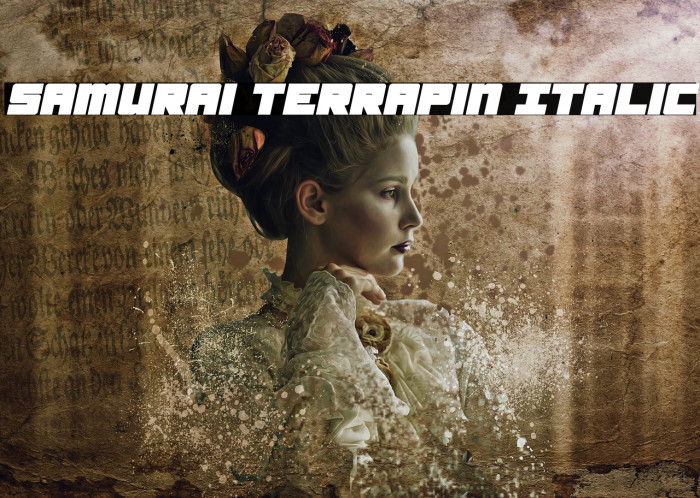 Samurai Terrapin Italic Font examples