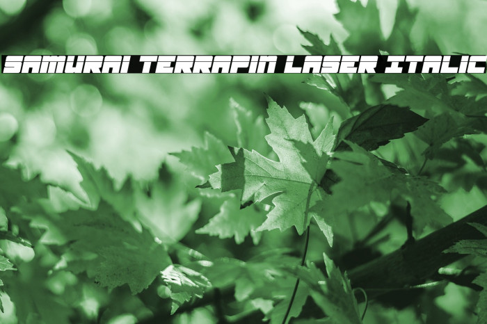 Samurai Terrapin Laser Italic Font examples