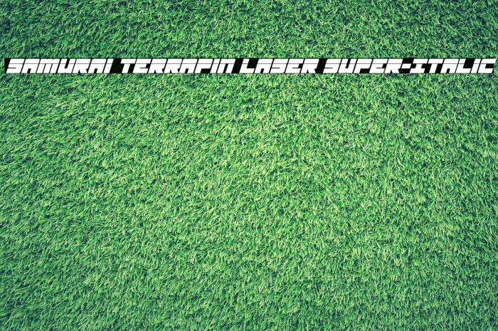 Samurai Terrapin Laser Super-Italic Schriftart examples