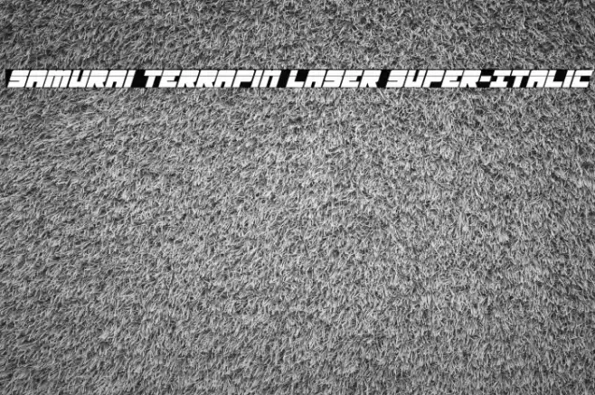 Samurai Terrapin Laser Super-Italic Font examples