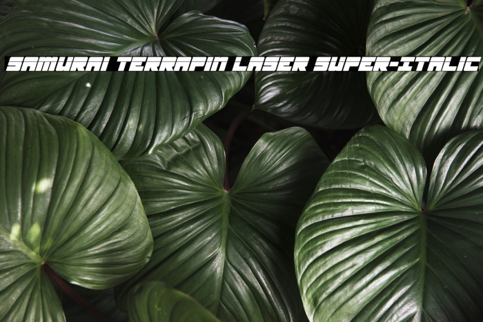Samurai Terrapin Laser Super-Italic Schriftart examples