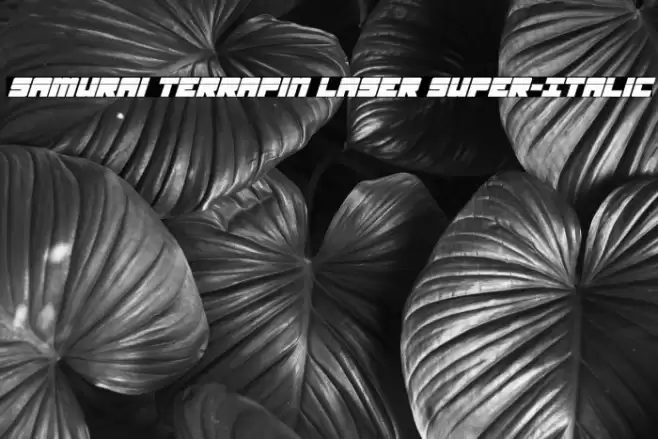Samurai Terrapin Laser Super-Italic Font examples