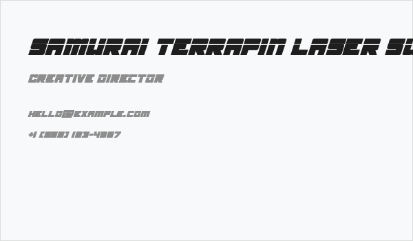 Samurai Terrapin Laser Super-Italic Business Card