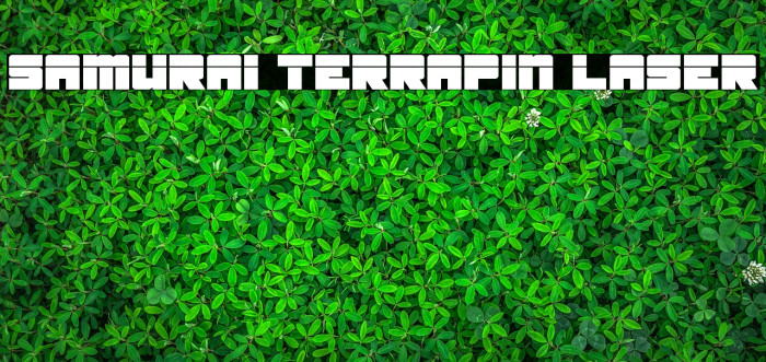 Samurai Terrapin Laser Schriftart examples
