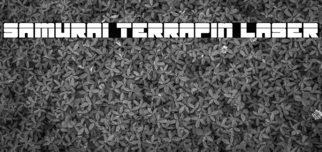 Samurai Terrapin Laser Font examples