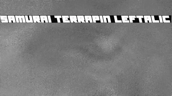 Samurai Terrapin Leftalic Font examples